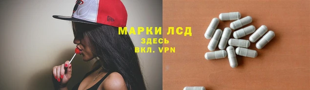 эйфоретик Баксан